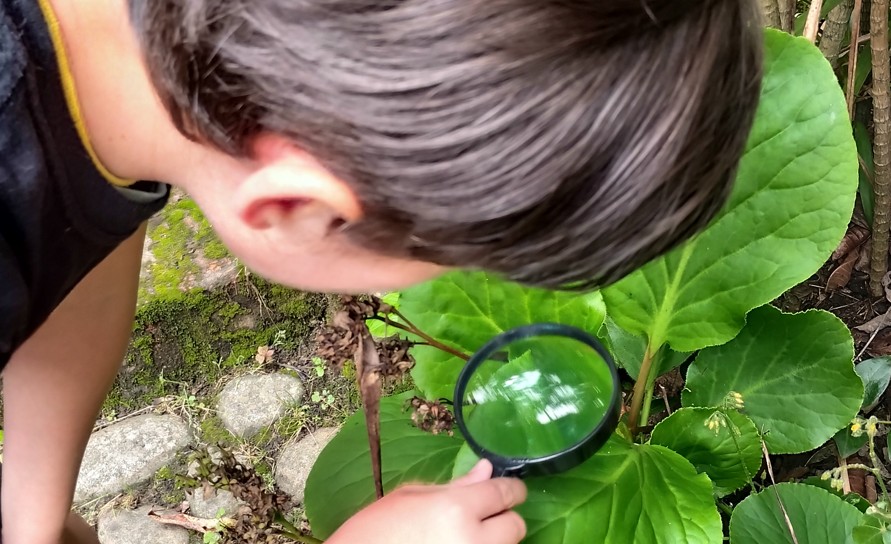 Grupo dando vuelta un tronco caído en el bosque